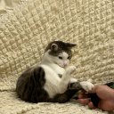 Сабрина Саидова