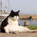 Эдуард Беломудрый