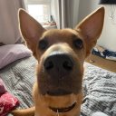 Виталина Ццццц