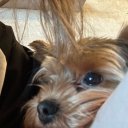 Лизочка Мур