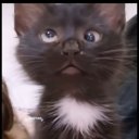 Саня Бачурин