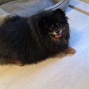 Татьяна Севостьянова