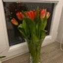 оля некрасова