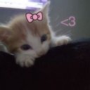 Алина Котова