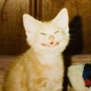 Елизавета Болотина