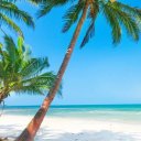 Марк Мольков