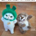 Юлия Денисова