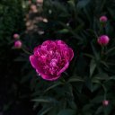 Валерия Вахнина