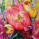 Елена Сидоренко