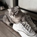 Настя Сергеева