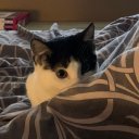 Андрей Осипов