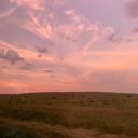 Капуст Свежий