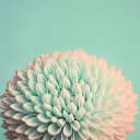 Дарьяна Михина