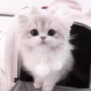 Юлианна Киреева