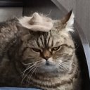 阿里诺奇卡 塔拉先科