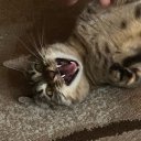 Саша Сидорчик