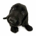 Настя Бежанишвили