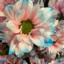 Виктория МинПак