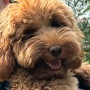 Мария Шумилова