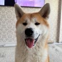 Сергей Филатов