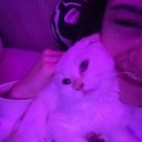 Юлия Михайлова