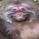 Дарья Агеева