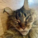 Кристина Захаренко