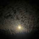 Таисия Ходоровская