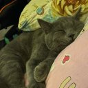 Виктория Тарантул