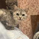 Кристина Шергина