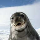 Женя Романова