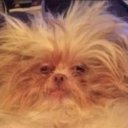 Дмитрий Деревянкин