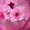 Андрей Валько