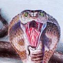 Елена Степанова