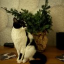 София Потапова