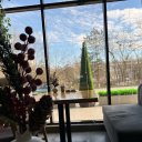 Индира Расулова