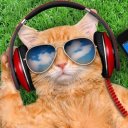 Юлия Лазарева