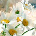 Татьяна Павлова