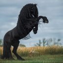 Анна Новожилова