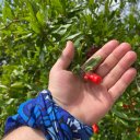 Максим Максимов