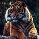 Никита Дерябин