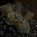 Кэтрин Джонс