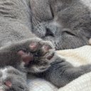 Танечка Лаврентьева