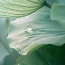 Софья Трофимова