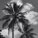 Анастасия Лукьяновская