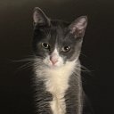 Элоиза Нотелье