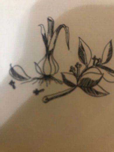 Суп из лука под Бешамелью - Шаг 1