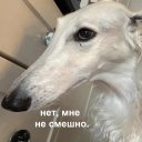 Анастасия Бо