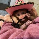 Кристина Керч