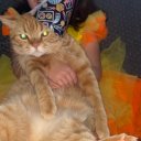 Светлана Коваленко